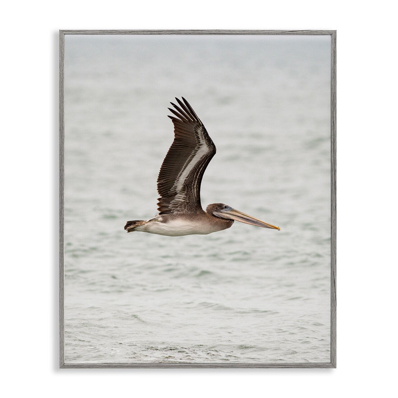 Stupell Industries Pelican Over Sea Framed Giclee Wall Art Design by Crystal Lynn Collins